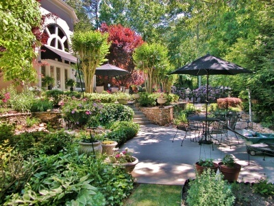 Stage a Home and Back Yard