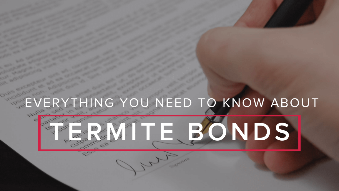 Everything You Need to Know About Termite Bonds