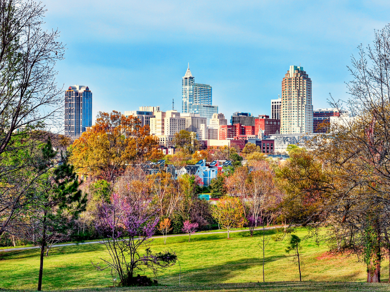 Raleigh Housing Market and Real Estate