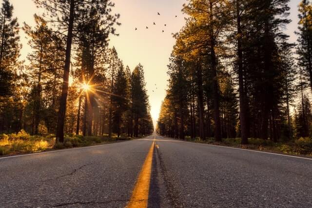 nashville-real-estate-update