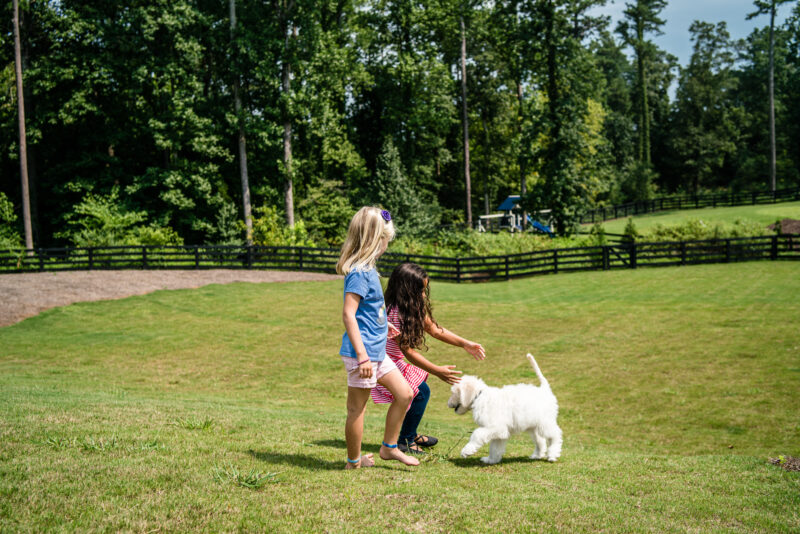 Landscaping Tips for the Spring