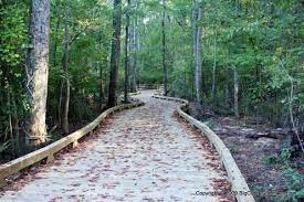 Alpharetta’s Best Open Spaces To Visit This Spring