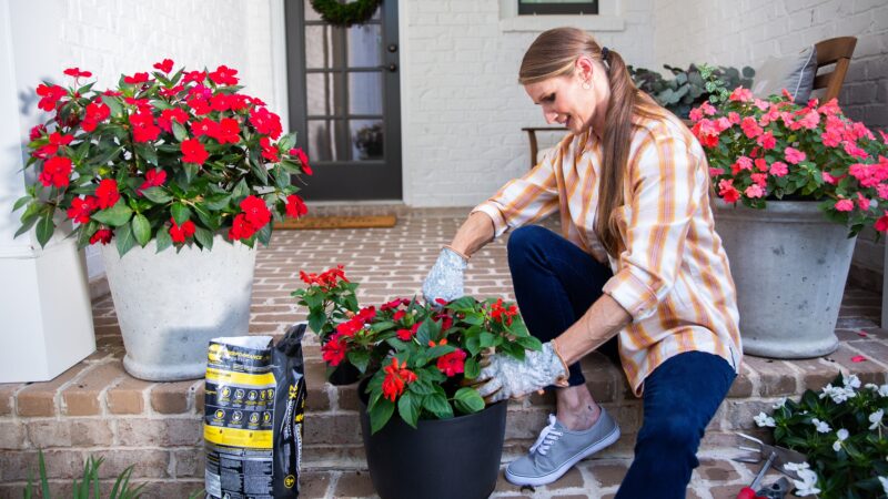 Summer Marketing Tips and Trends