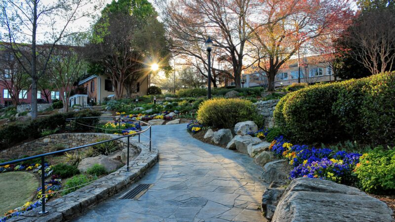 Relocating to greenville in downtown 